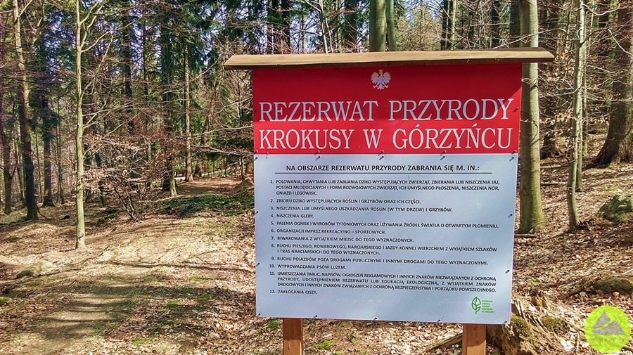 Rezerwat Krokusy w Górzyńcu - tablica informacyjna rezerwatu