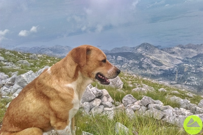 Rumija mountains Montenegro