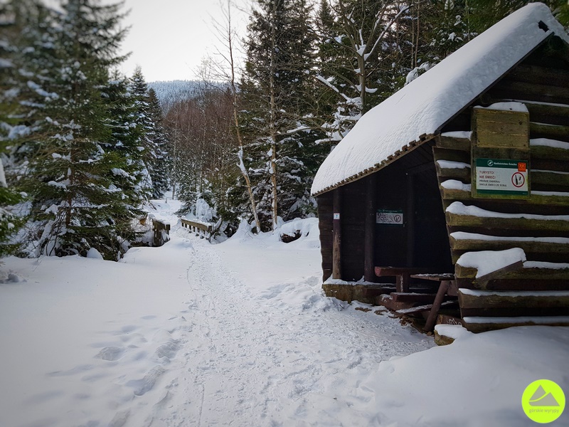 Zimowe szlaki z Karpacza - Sowia Dolina