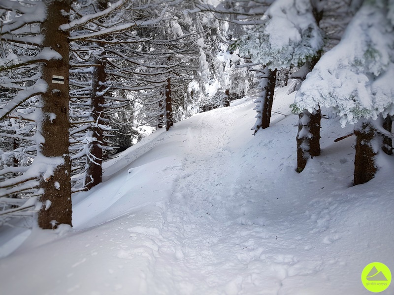 Zimowe szlaki Karpacz - czarny szlak do Sowiej Przełęczy