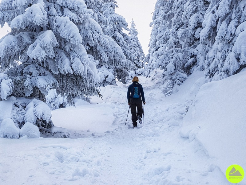 Zimowa trasa na Skalny Stół z Karpacza - podejście czarnym szlakiem do Sowiej Przełęczy 