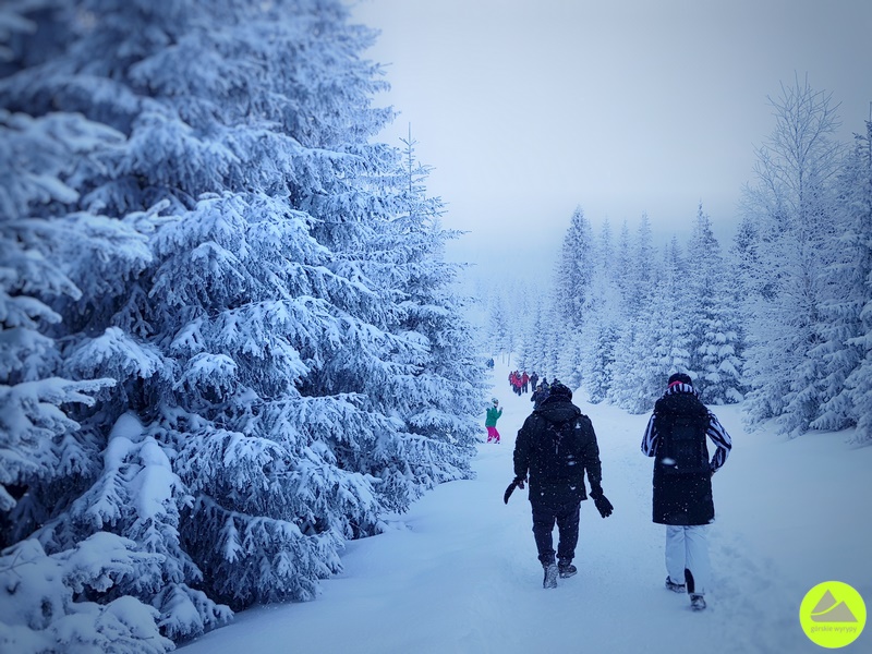 Zimowa trasa Karpacz - "Samotnia" 