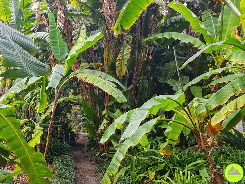 Ogród Botaniczny w Puerto de la Cruz