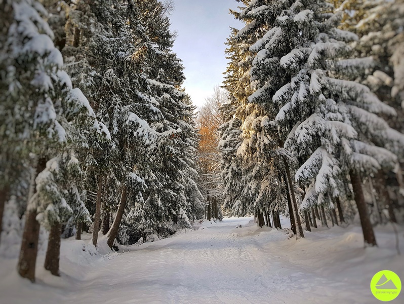 Zimowe szlaki w Karkonoszach