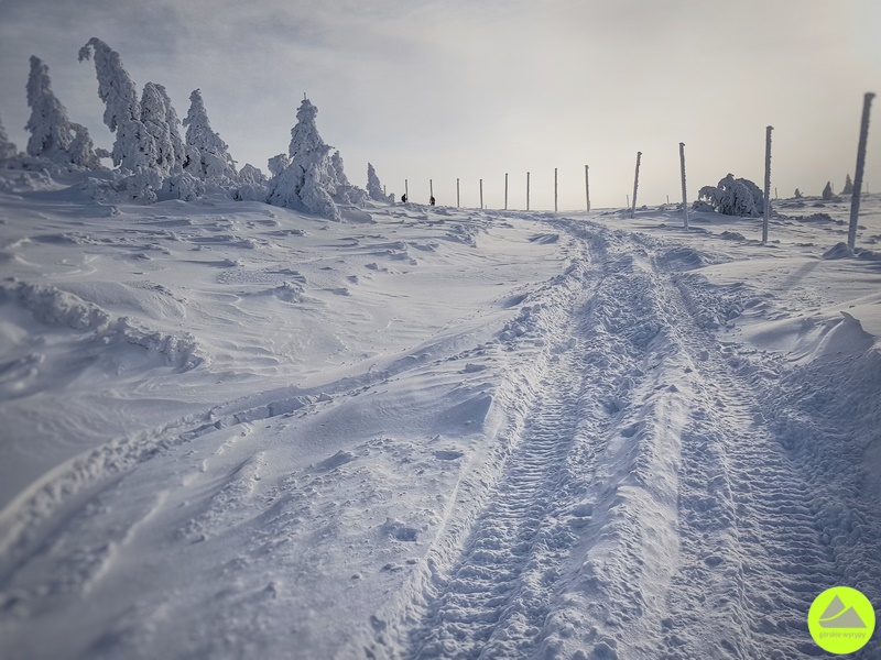 Zimowe szlaki z Karpacza