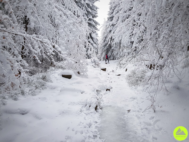 Zimowe szlaki w Karkonoszach - wejście na Szrenicę