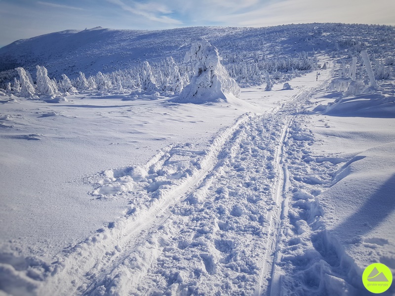 Zimowa trasa na Szrenicę - Mokra Przełęcz