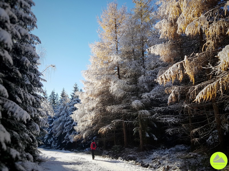 Zimowe szlaki ze Szklarskiej Poręby