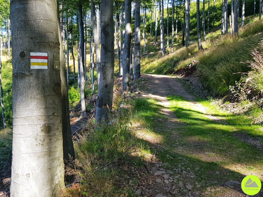 Szlaki w Górach Suchych - trasa do Skalnej Bramy