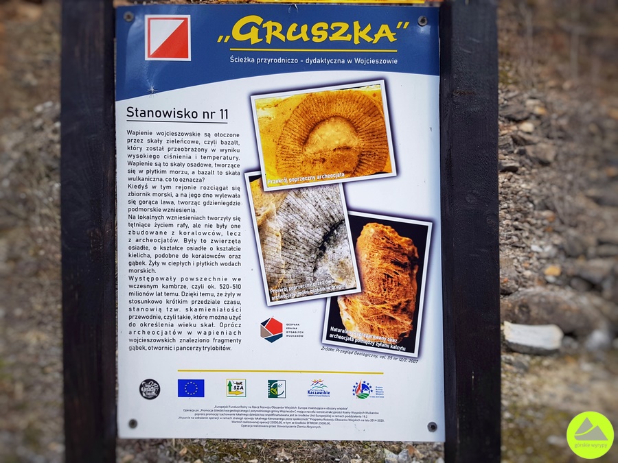 Ścieżka przyrodniczo-dydaktyczna "Gruszka"