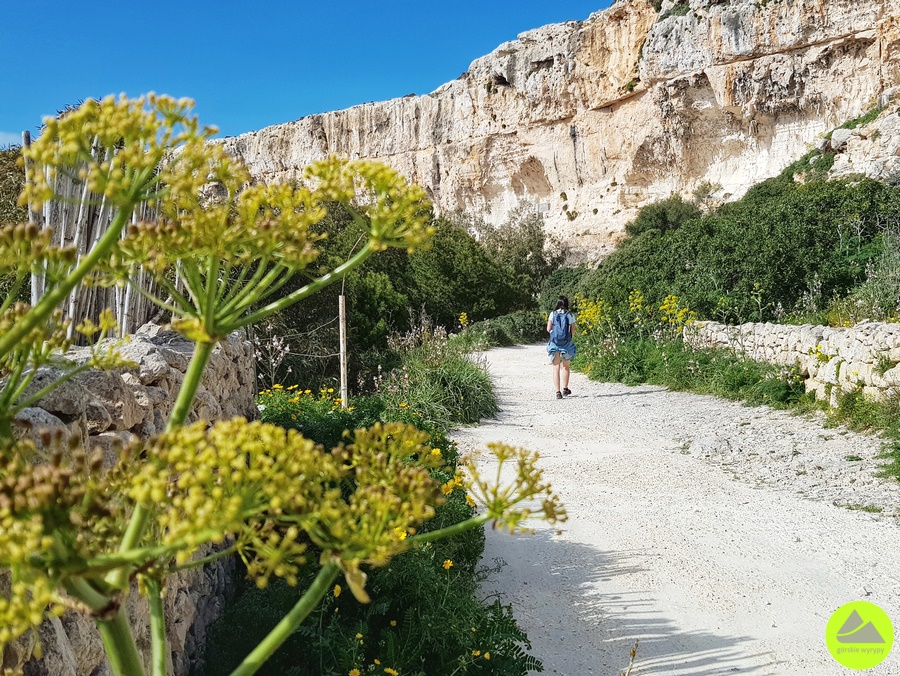 Trasa na Dingli Cliffs na Malcie 