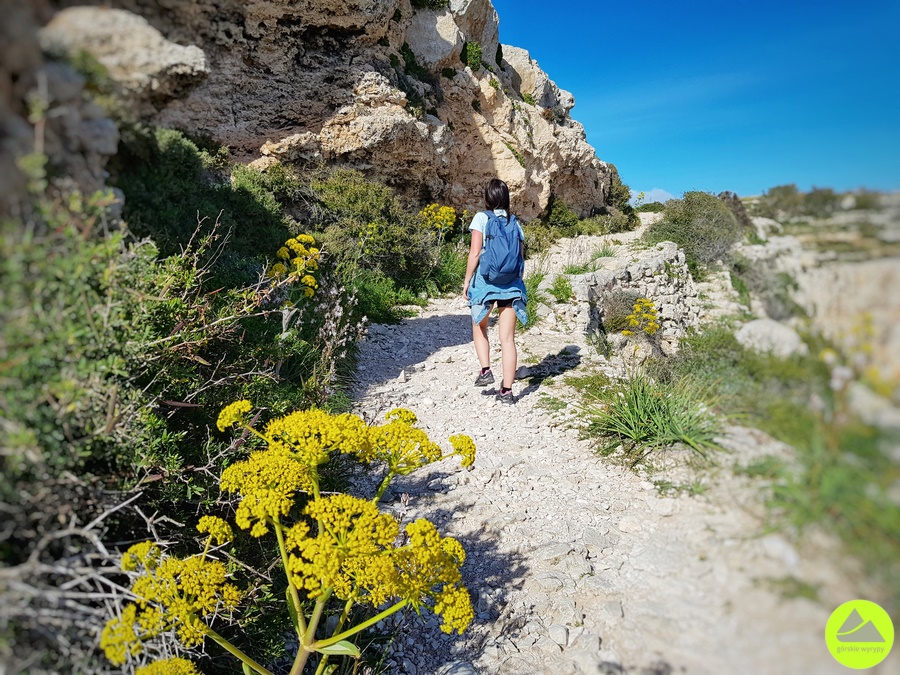 Malta - trekking na Klify Dingli