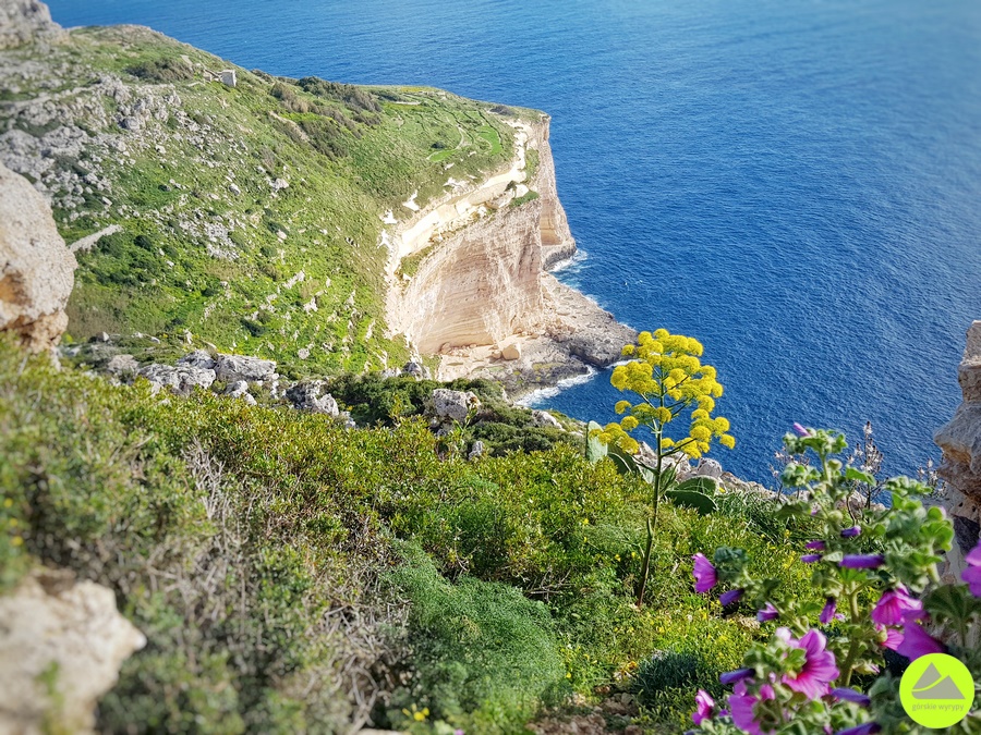 Trasa na Dingli Cliffs na Malcie