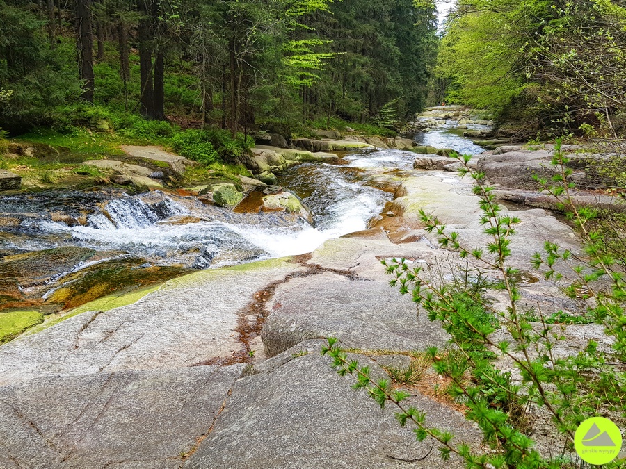 Trasa Doliną Mumlavy w Karkonoszach