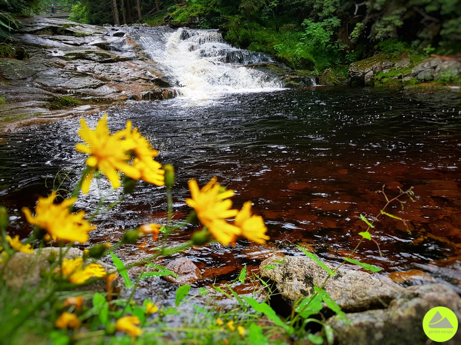 Niebieski szlak Doliną Mumlavy w Karkonoszach