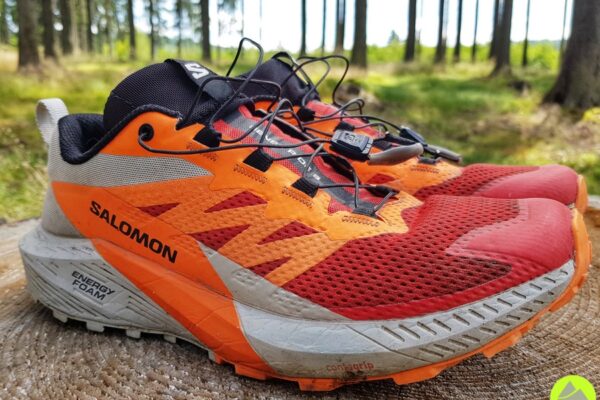 Salomon Sense Ride 5