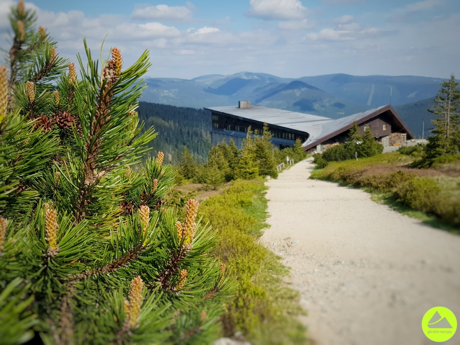 Labská bouda Karkonosze