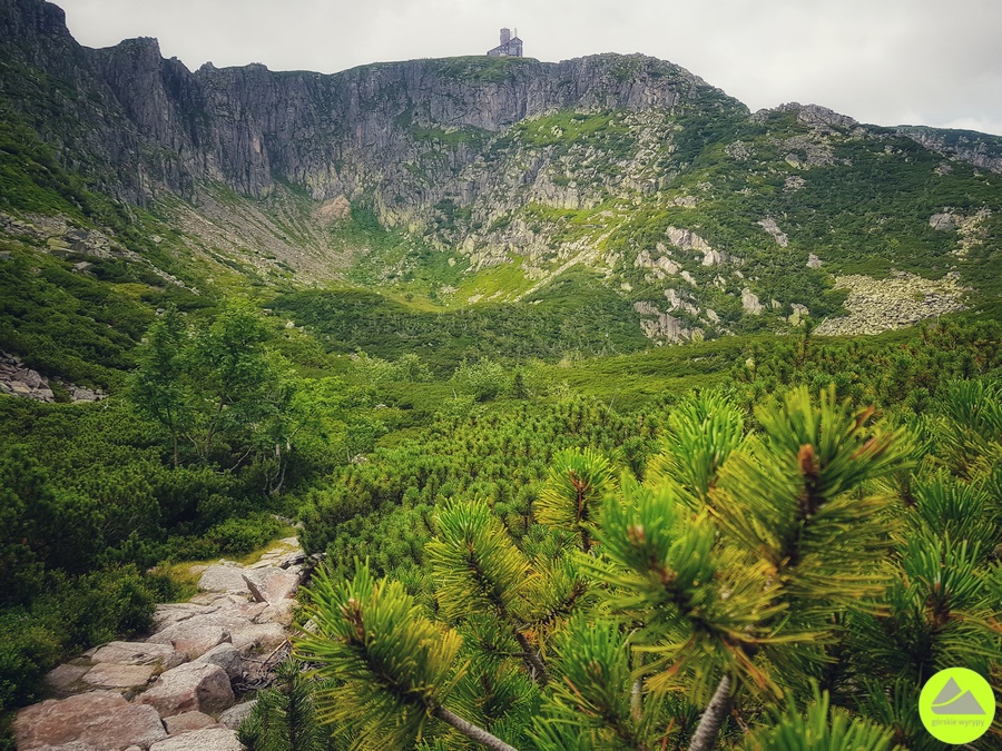 Ścieżka nad Reglami w Karkonoszach 