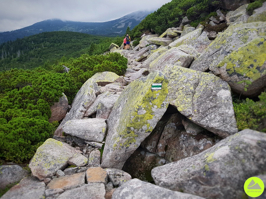 Karkonosze - Ścieżka nad Reglami