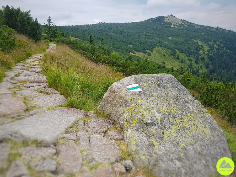 Zielony szlak Pielgrzymy - Hala Szrenicka w Karkonoszach 