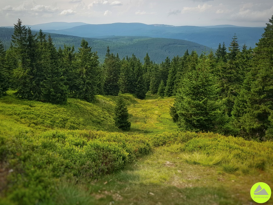 Szlaki w Karkonoszach 