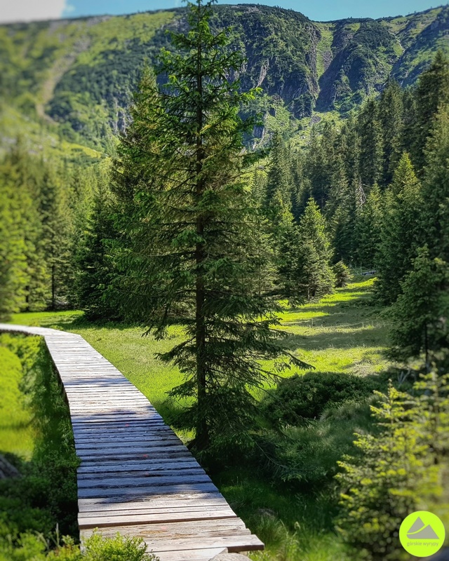 Ścieżka nad Reglami w Karkonoszach 