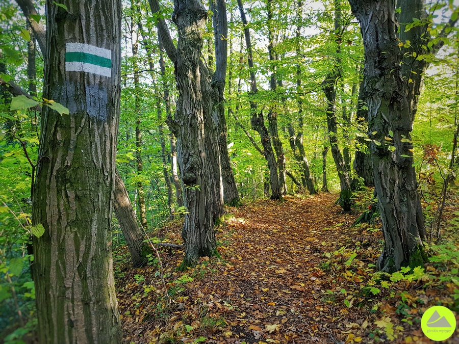 Szlak Zamków Piastowskich - opis, informacje 