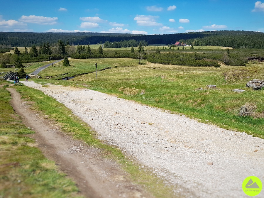 Góry Izerskie - atrakcje - Izerska Łąka