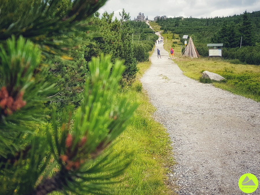 Szlaki w Karkonoszach - Trzy Świnki 