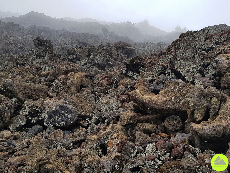 Teneryfa - szlaki trekkingowe - Chinyero 