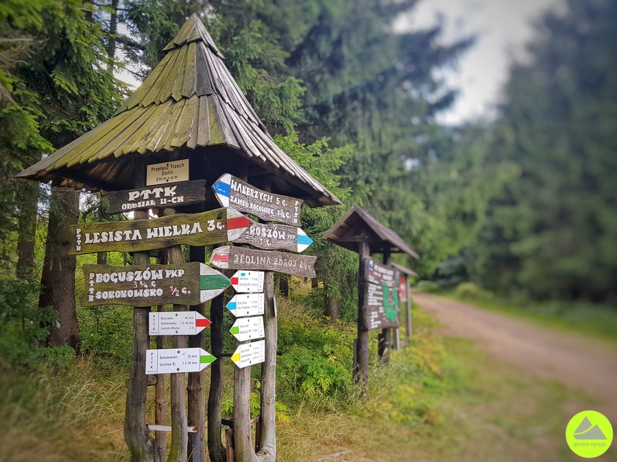 Przełęcz Trzech Dolin - schronisko PTTK Andrzejówka