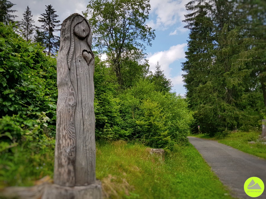 Dolina Białej Łaby - trasa w Karkonoszach 