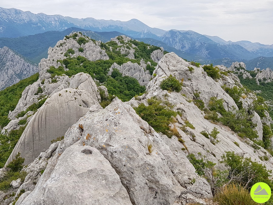 Trasa na Vidakov kuk Welebit