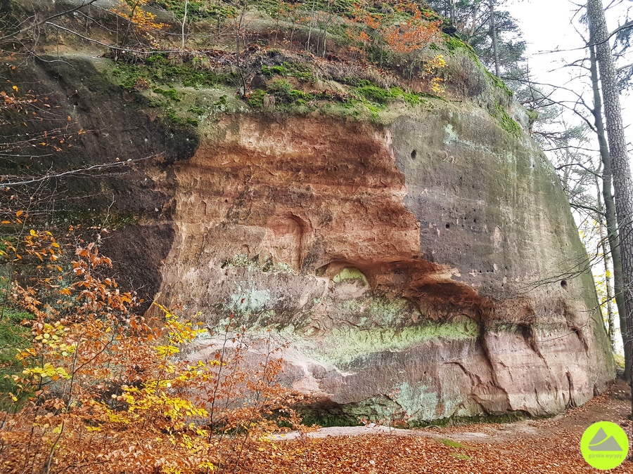 Zawory - Góry Stołowe - Sudety