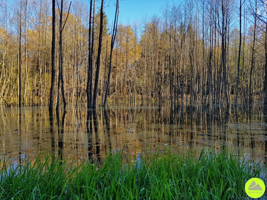 Karpnickie Stawy - Wojanów-Bobrów