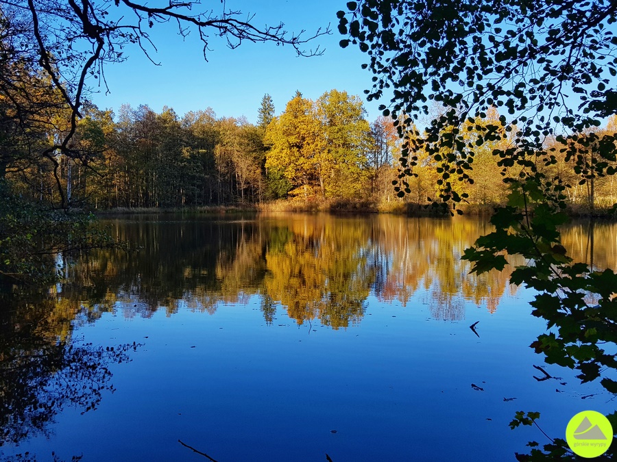 Karpnickie Stawy koło Jeleniej Góry 