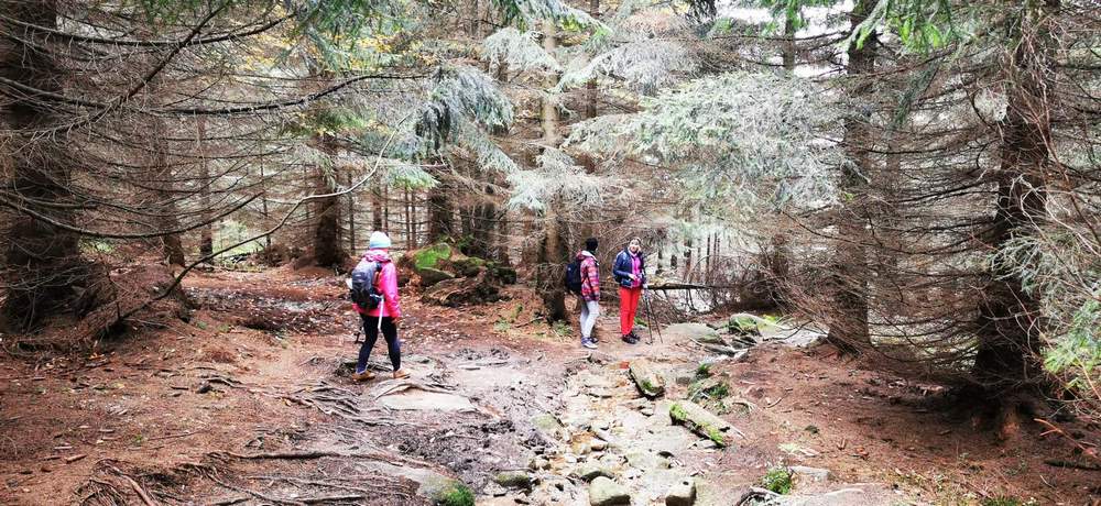 Pieszy rajd górski 3SZLAKI Jesień