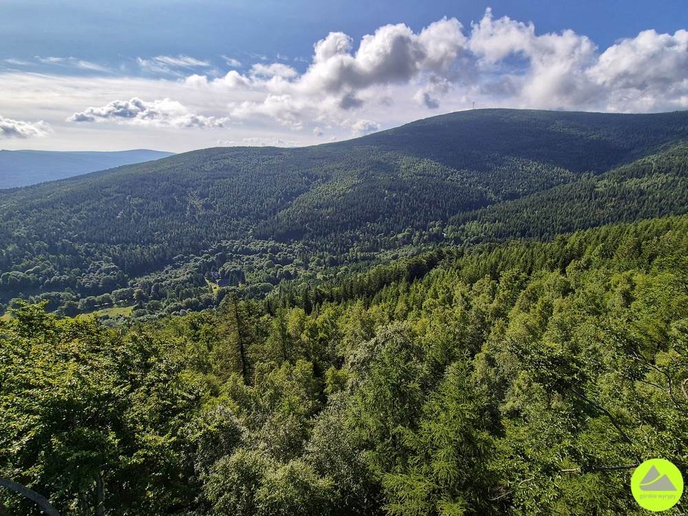 Czerniawska Kopa - wieża widokowa w Górach Izerskich 