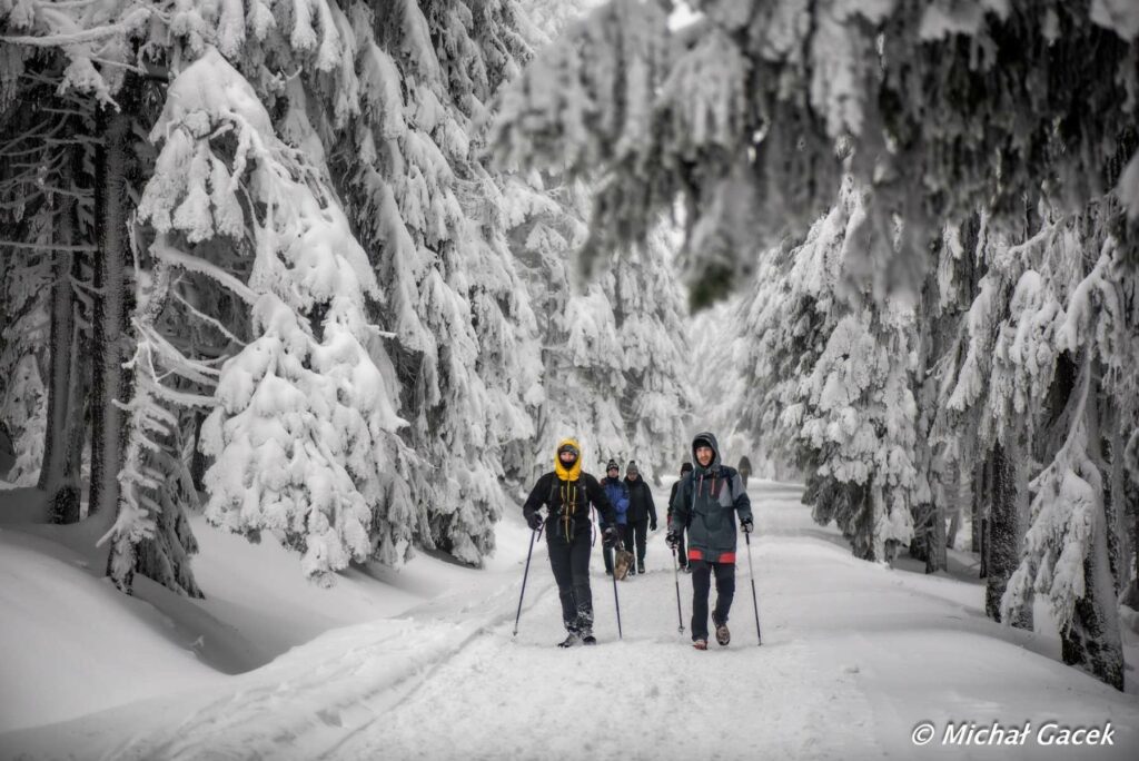 II Zimowy Marsz Jaskiniowego Niedźwiedzia - zapowiedź Górskie Wyrypy 