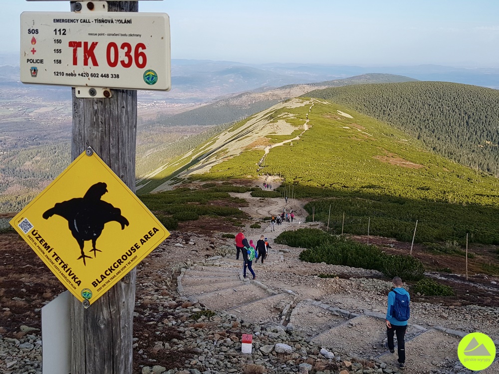 Szlak czerwony w Karkonoszach