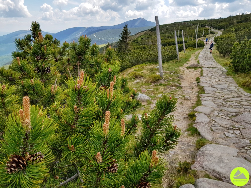 Droga Przyjaźni Polsko-Czeskiej w Karkonoszach - trasa