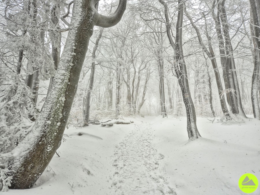 Sowie Dreptanie - zima 2025 - zapowiedź Górskie Wyrypy