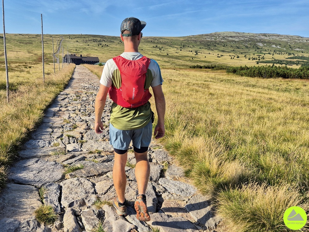 Spodenki Dynafit Ultra 2/1