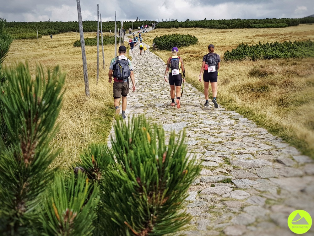 Wędrówka w Karkonoszach 