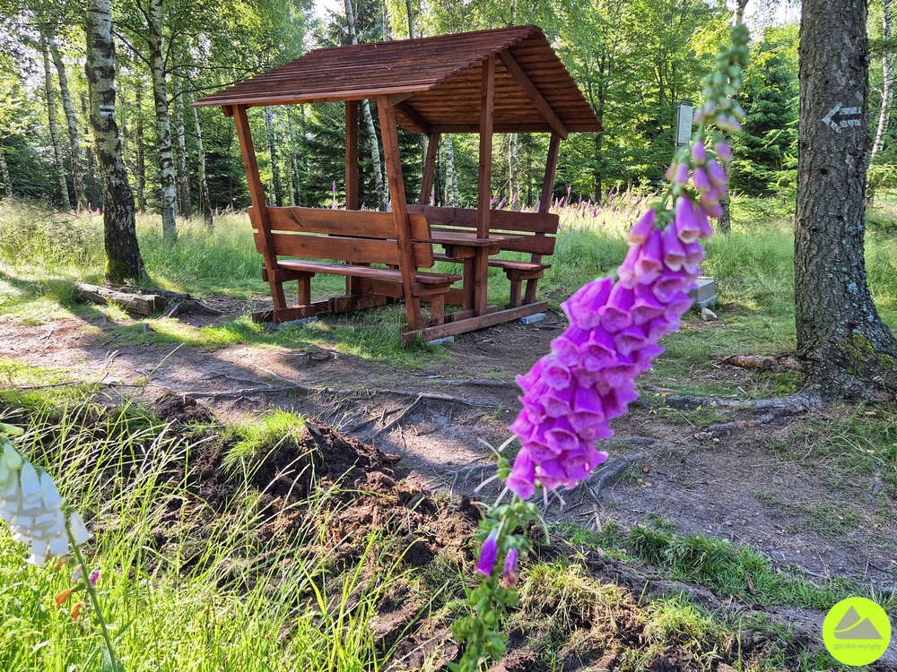 Trasa na Czerniawską Kopę