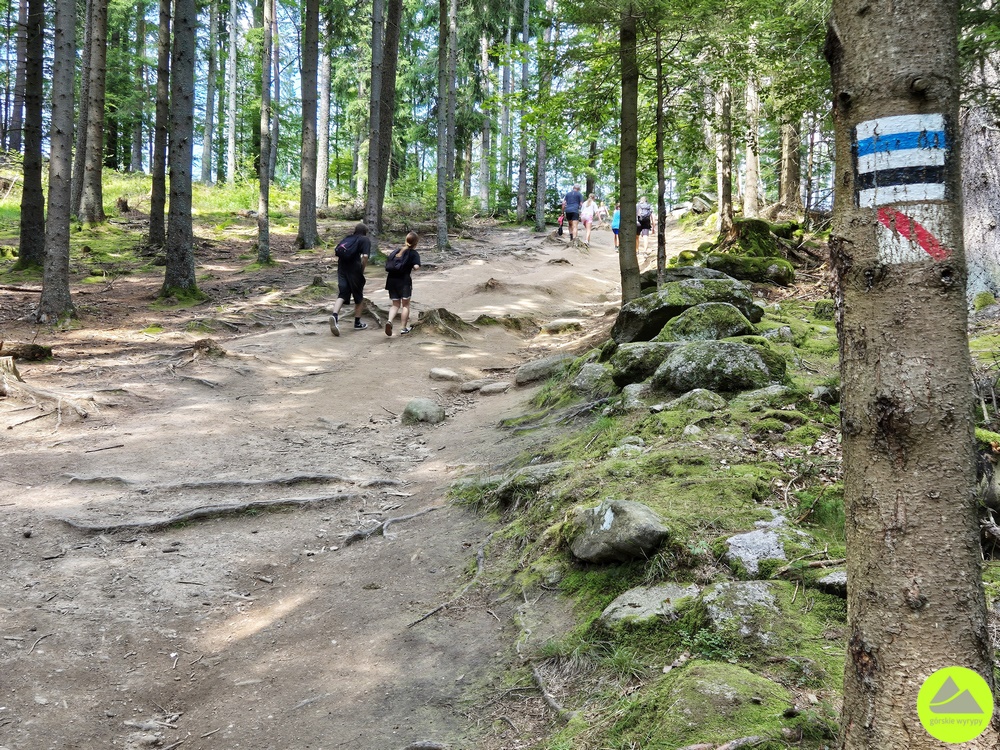 Szlak Szklarska Poręba - Wodospad Szklarki w Karkonoszach 