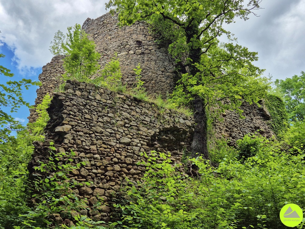Zamek Cisy - atrakcje na Dolnym Śląsku 