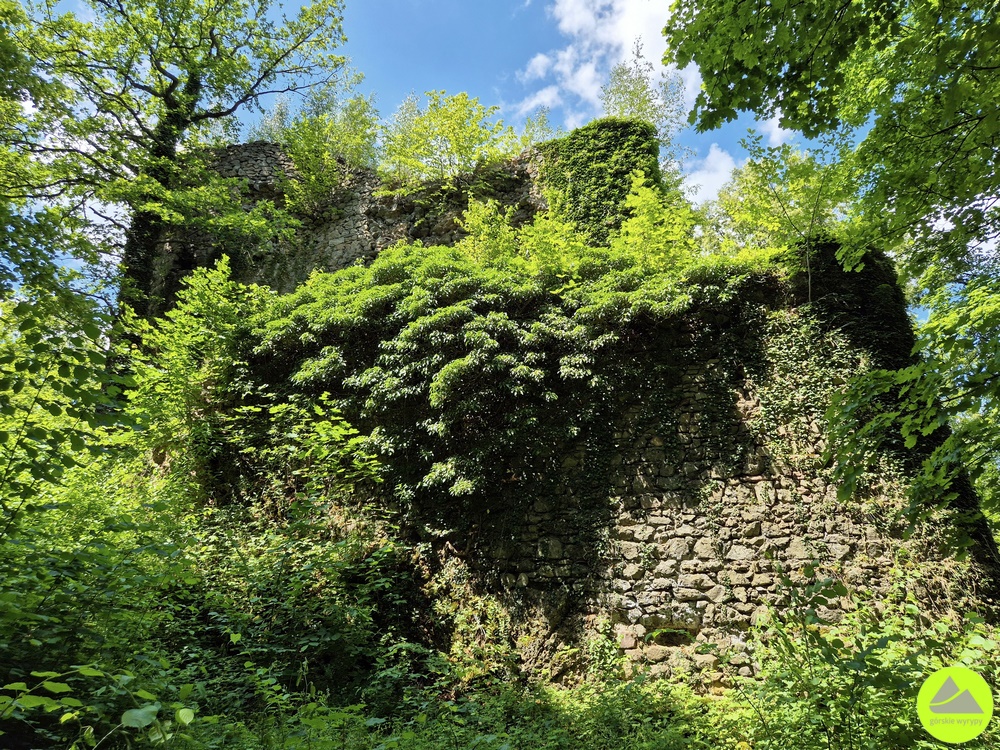 Zamek Cisy - ruiny na Dolnym Śląsku 