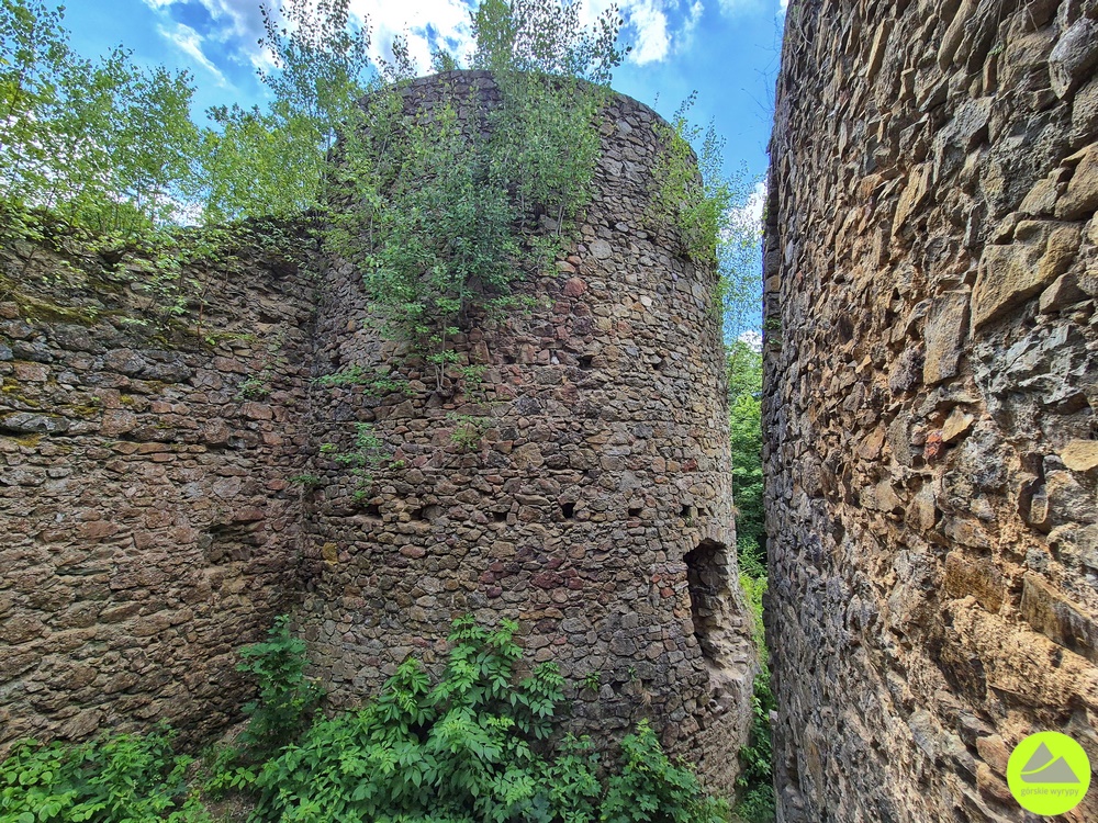Zamek Cisy - średniowieczny zamek w Sudetach 