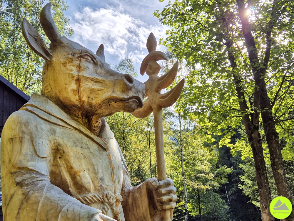 Budniki w Karkonoszach - Wołogór